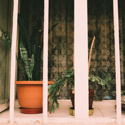 Balcony Garden