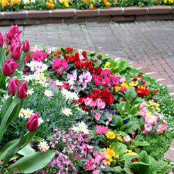 Bulbs for Better Home Value