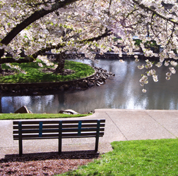 Feng Shui In The Garden