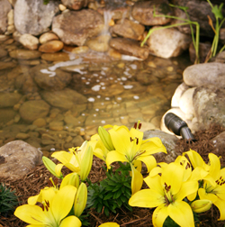 Feng Shui In The Garden